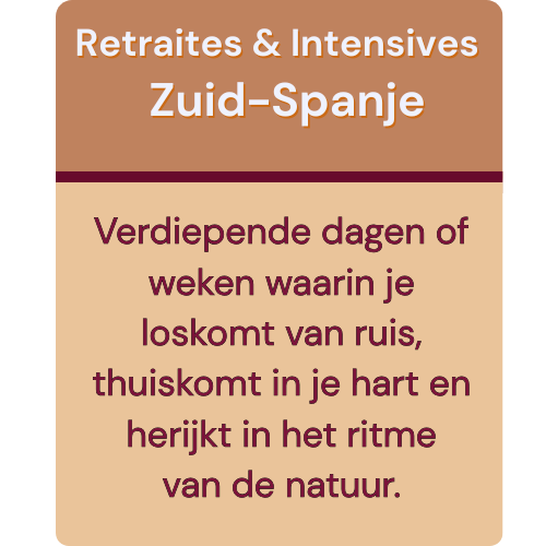 Laluna home (5) Laluna retraites en intensives zuid spanje