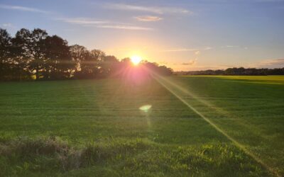 Waarom alles op papier klopt, en het toch niet stroomt