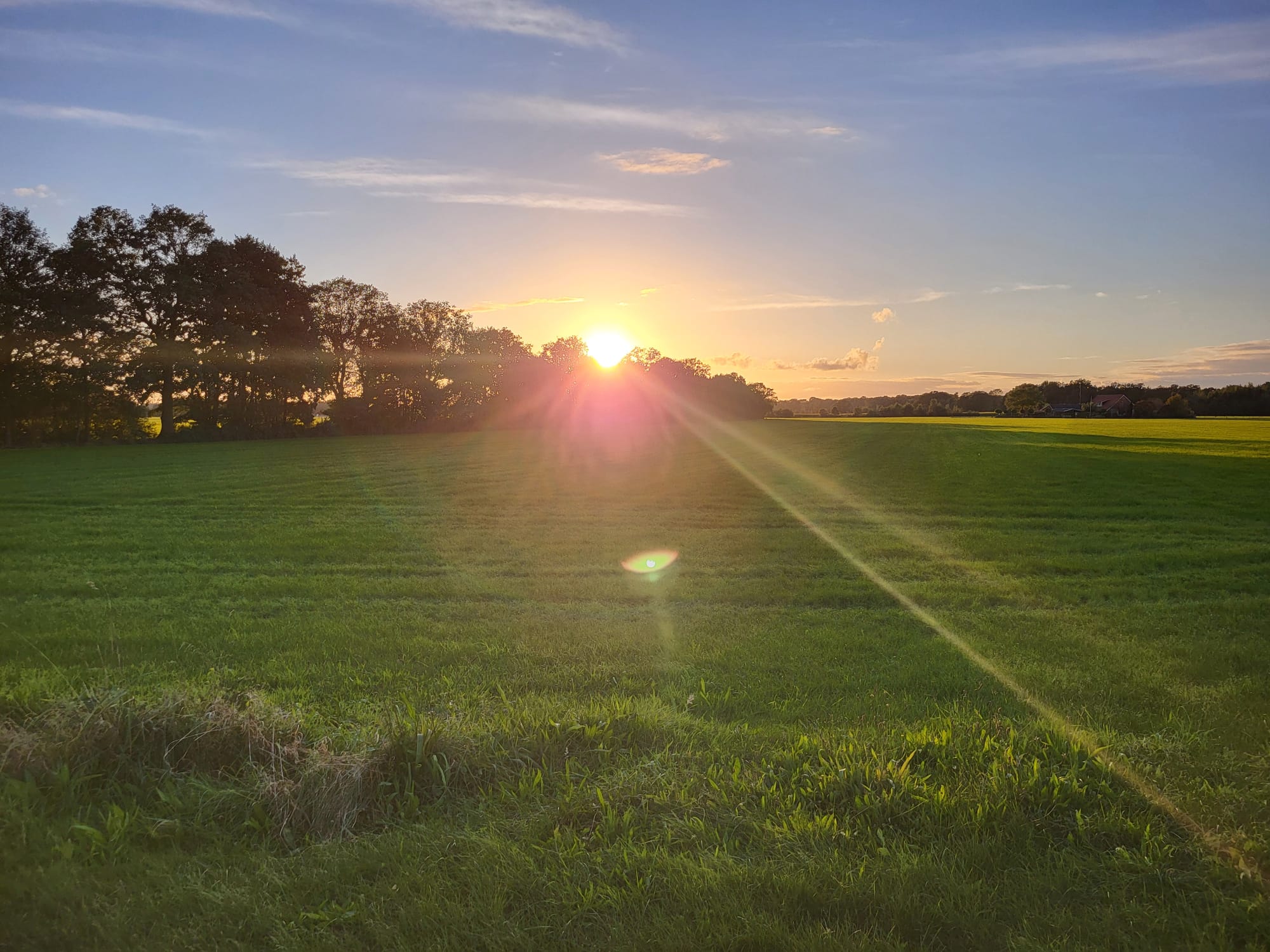 WhatsApp Image 2026-02-19 at 15.04.16 (1)