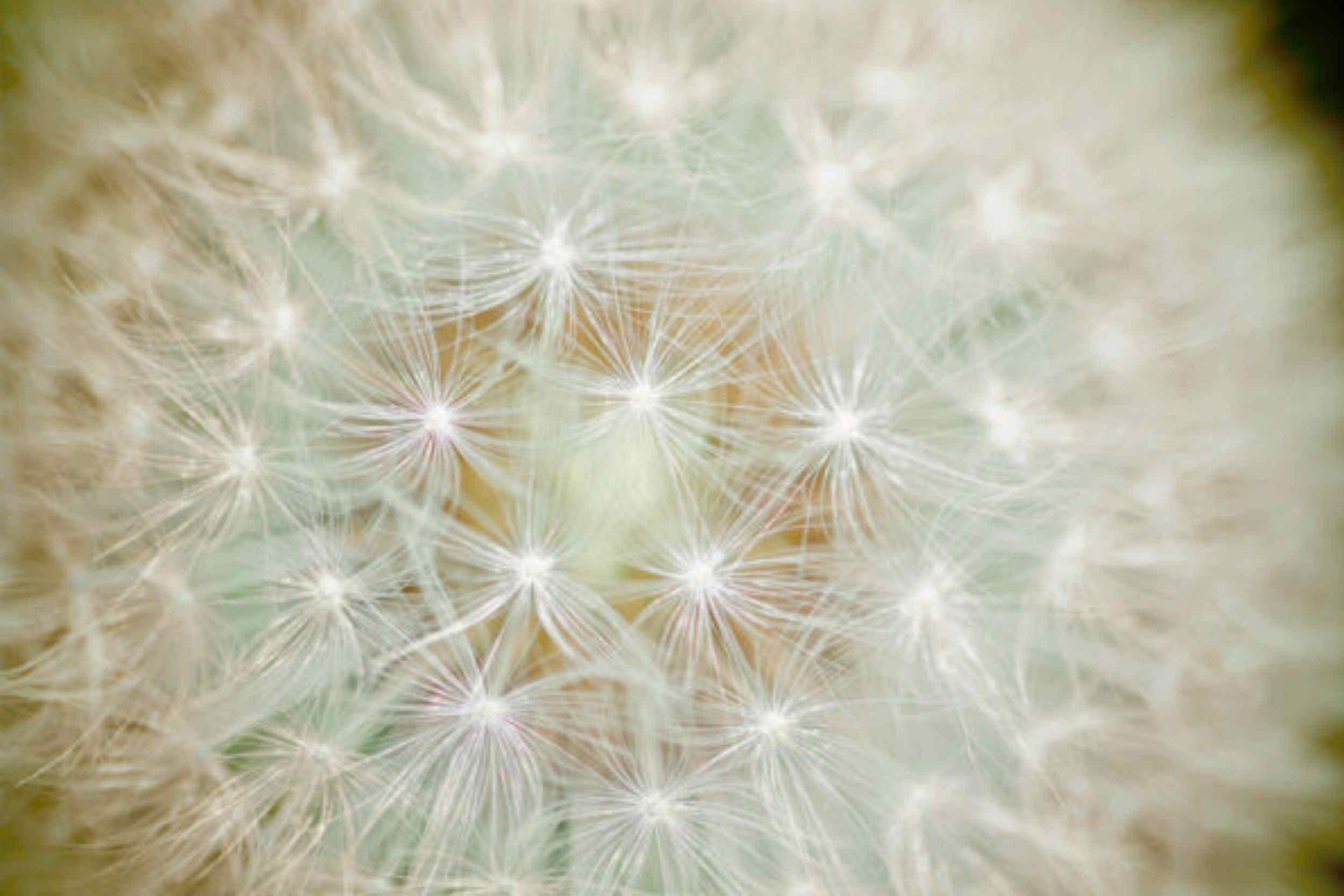 Spirituele begeleiding en healing in Oldenzaal – La Luna door Diane